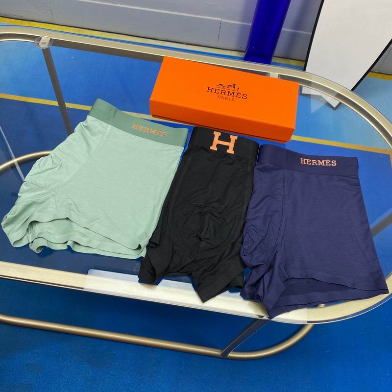 Hermes boxer L-3XL 072710